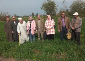 "الآفات والأمراض التى تصيب محصول القمح" في ندوة بزراعة الشرقية 35 - جريدة المساء