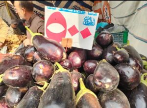 بالصور.. توفير جميع السلع الغذائية بأسعار مخفضة بمعارض شمال سيناء 42 - جريدة المساء بالصور.. توفير جميع السلع الغذائية بأسعار مخفضة بمعارض شمال سيناء 41 - جريدة المساء