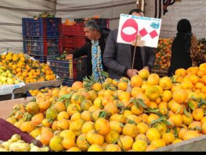 بالصور.. توفير جميع السلع الغذائية بأسعار مخفضة بمعارض شمال سيناء 26 - جريدة المساء بالصور.. توفير جميع السلع الغذائية بأسعار مخفضة بمعارض شمال سيناء 25 - جريدة المساء