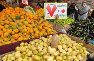 بالصور.. توفير جميع السلع الغذائية بأسعار مخفضة بمعارض شمال سيناء 24 - جريدة المساء بالصور.. توفير جميع السلع الغذائية بأسعار مخفضة بمعارض شمال سيناء 23 - جريدة المساء