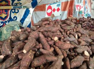 بالصور.. توفير جميع السلع الغذائية بأسعار مخفضة بمعارض شمال سيناء 22 - جريدة المساء بالصور.. توفير جميع السلع الغذائية بأسعار مخفضة بمعارض شمال سيناء 21 - جريدة المساء