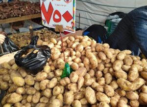 بالصور.. توفير جميع السلع الغذائية بأسعار مخفضة بمعارض شمال سيناء 34 - جريدة المساء بالصور.. توفير جميع السلع الغذائية بأسعار مخفضة بمعارض شمال سيناء 33 - جريدة المساء