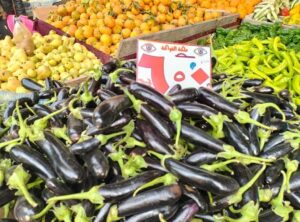 بالصور.. توفير جميع السلع الغذائية بأسعار مخفضة بمعارض شمال سيناء 32 - جريدة المساء بالصور.. توفير جميع السلع الغذائية بأسعار مخفضة بمعارض شمال سيناء 31 - جريدة المساء