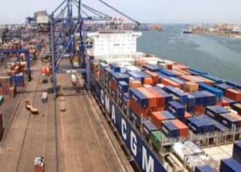 1.9 مليار جنيه إجمالي الضرائب والرسوم المحصلة بجمارك الدخيلة خلال ديسمبر الماضي 25 - جريدة المساء