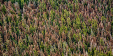 منظر جميل ...ولكن 1 - جريدة المساء