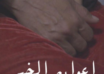 أفضل 8 أفلام قصيرة تنافس في مهرجان الإسكندرية 22 - جريدة المساء