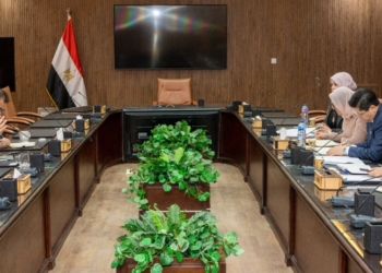 7 مشروعات صينية جديدة في «اقتصادية قناة السويس» باستثمارات 5 مليارات دولار 33 - جريدة المساء