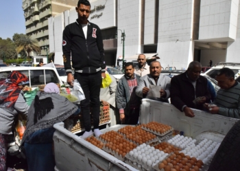 "خير مزراعنا لأهالينا" مبادرة لطرح واللحوم المواد الغذائية بأسعار مخفضة بأسيوط 19 - جريدة المساء