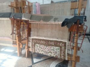 "نجع عون" بالبحيرة تقدم نموذجاً لمواجهة التحديات العصرية 54 - جريدة المساء "نجع عون" بالبحيرة تقدم نموذجاً لمواجهة التحديات العصرية 53 - جريدة المساء