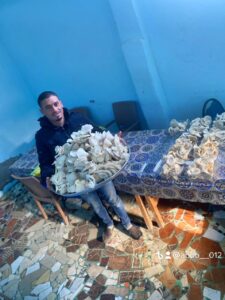 "نجع عون" بالبحيرة تقدم نموذجاً لمواجهة التحديات العصرية 46 - جريدة المساء "نجع عون" بالبحيرة تقدم نموذجاً لمواجهة التحديات العصرية 45 - جريدة المساء