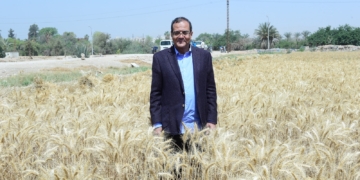 رئيس جامعة سوهاج يشهد بدء موسم حصاد القمح بمزرعة الكوثر 1 - جريدة المساء