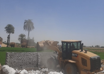 إزالة 7 حالات تعد على أراضي زراعية بأسيوط 19 - جريدة المساء