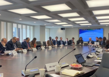 د. معيط: الوضع المالي الصعب للاقتصادات الناشئة.. يقلل التمويلات التنموية والمناخية 13 - جريدة المساء