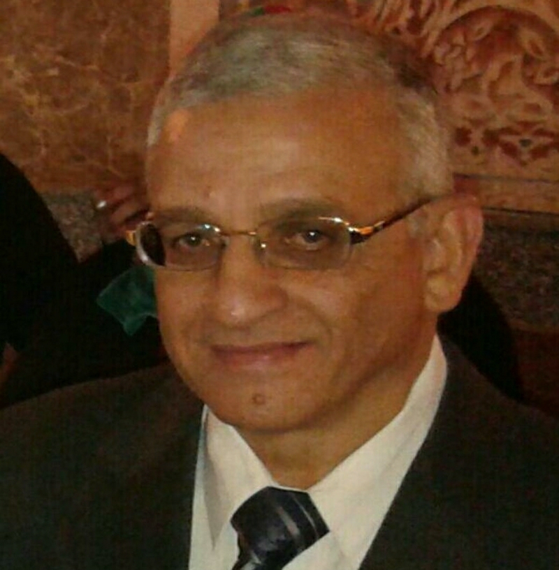 د. حسن حسونة: احذروا الإسراف في تناول كعك العيد 18 - جريدة المساء