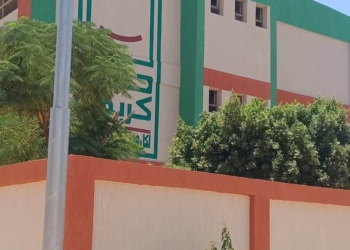 محافظ أسوان يكلف وحدة حياة كريمة بتفقد نسب ومعدلات التنفيذ بالمشروعات الجارية بقرية سلوا بحرى بكوم أمبو 28 - جريدة المساء