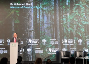 وزير المالية: الاقتصاد المصرى يعمل تحت ضغوط غير مسبوقة.. والرهان على الاستثمار 17 - جريدة المساء