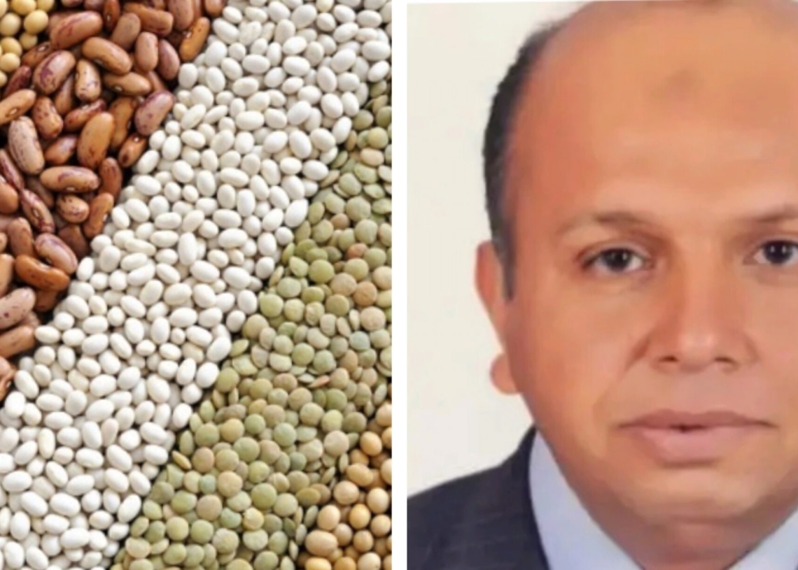 الاتجاهات الحديثة لانتاج التقاوى بالوطن العربي في مؤتمر دولي 15 يونيو 19 - جريدة المساء الاتجاهات الحديثة لانتاج التقاوى بالوطن العربي في مؤتمر دولي 15 يونيو 18 - جريدة المساء