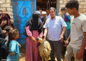 توزيع أغنام مجانا على 20 سيدة بوادى النقرة في أسوان 27 - جريدة المساء