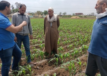 "المركزية لمكافحة الآفات" تتابع الزراعات المبكرة لمحصول الذرة 25 - جريدة المساء