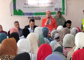 تضامن كفر الشيخ تؤكد تنظم 27 فاعلية ضمن برنامج مودة 16 - جريدة المساء