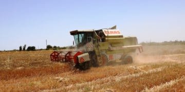 محافظ أسوان : توريد 174 ألف طن و 338 كجم من المستهدف لكميات القمح لموسم الحصاد 1 - جريدة المساء