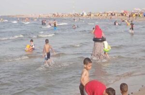 د.خالد عبده يرصد إجراءات السلامة والأمان لتجنب مخاطر الكائنات البحرية 25 - جريدة المساء