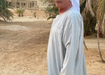 محمود حميده يتعاقد على تصوير فيلم وثائقي عن واحة سيوة  30 - جريدة المساء