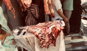 تحرير 107 محاضر في  حملات تموينية مكثفة بالإسماعيلية خلال إجازة عيد الأضحى  21 - جريدة المساء