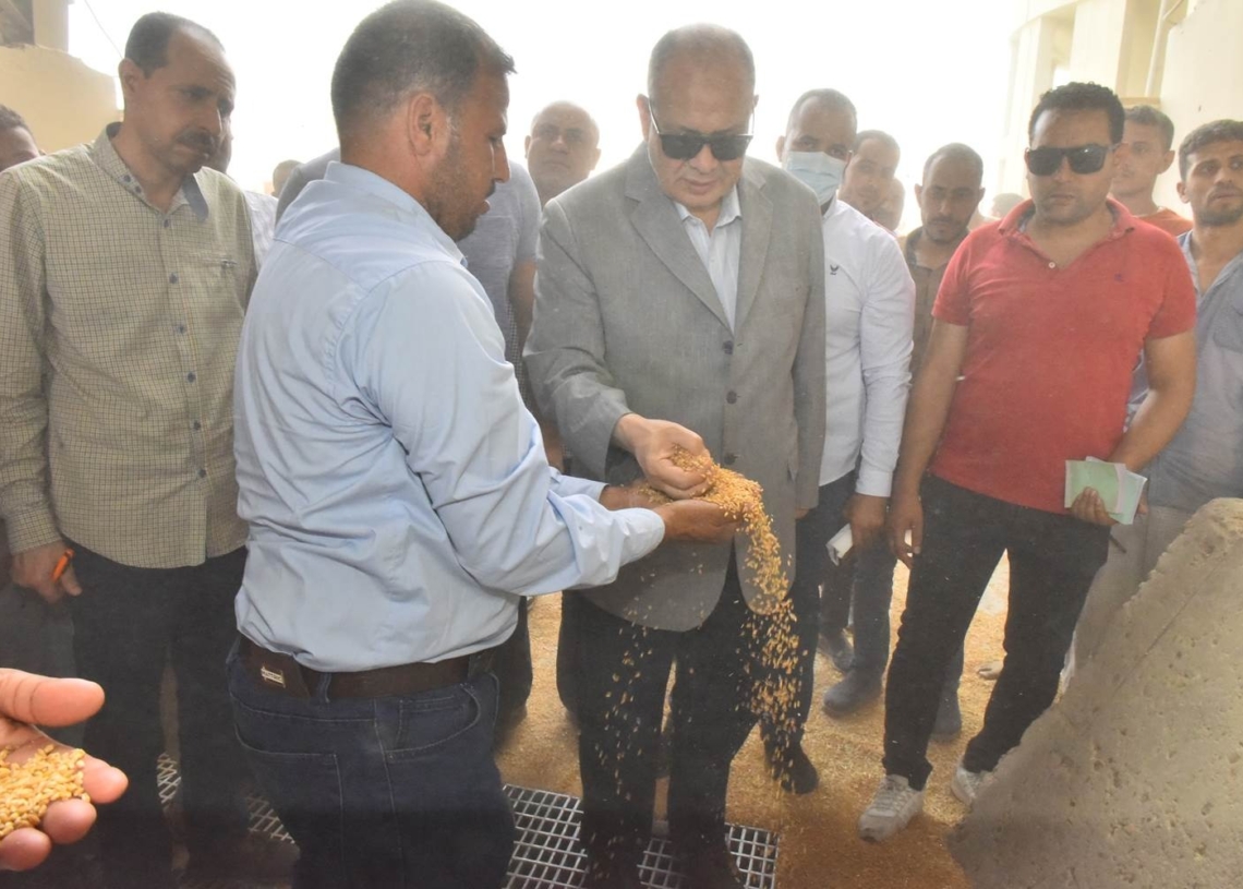 توريد 135 ألف طن قمح بـ 28 شونة ومركز تجميع حتى اليوم بأسيوط 19 - جريدة المساء