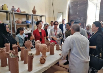 وفد مدينة جينج دا جين الصينية يعرب عن شكره لمحافظ أسوان لحفاوة الإستقبال 27 - جريدة المساء