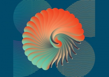 22 سبتمبر.. إنطلاقة فاعليات .. مهرجان الداو الدولي للفنون في دورته الثانية بالغردقة 16 - جريدة المساء