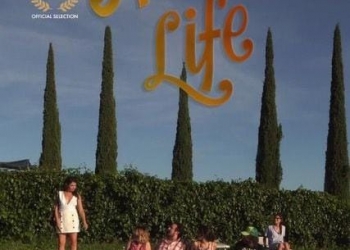 ٨ أفلام طويلة تتنافس في المسابقة الرسمية لمهرجان الغردقة السينمائي 22 - جريدة المساء