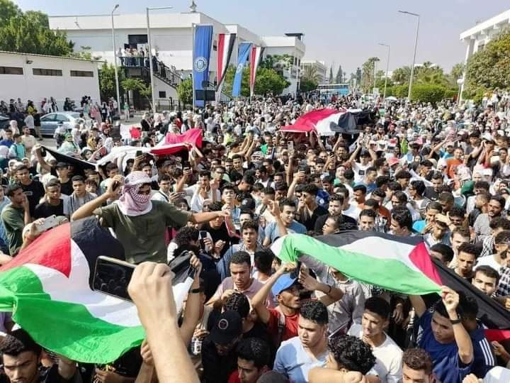 نقيب البيطريين بالإسماعيلية : نساند القيادة السياسية..وكل الدعم للقضية الفلسطينية  19 - جريدة المساء