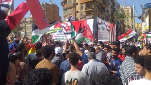 محافظات الجمهورية تفوض القيادة السياسية لحماية الأراضى المصرية 51 - جريدة المساء