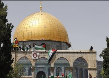 (جمعية التشريع الضريبى) تدعم مواقف القيادة السياسية لنصرة القضية الفلسطينية 31 - جريدة المساء