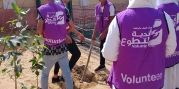 فى كفرالشيخ الشباب زرعوا الأشجار وجملوا حوائط مراكز الشباب ضمن برنامج يوم بيئي تطوعى 1 - جريدة المساء