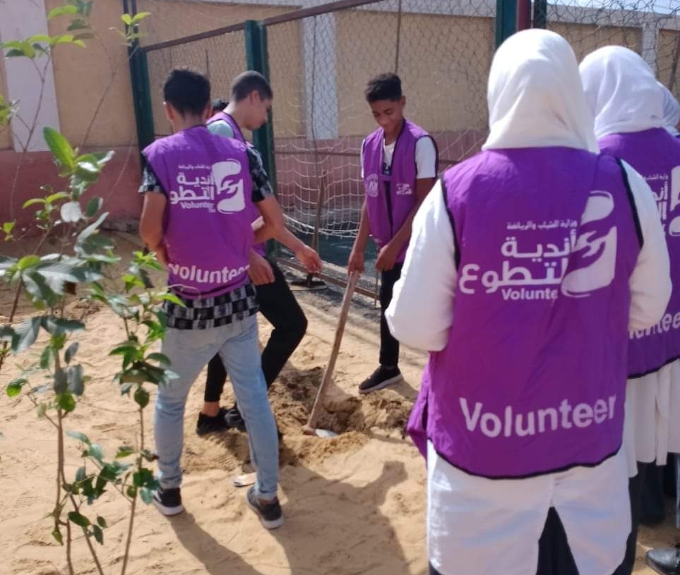فى كفرالشيخ الشباب زرعوا الأشجار وجملوا حوائط مراكز الشباب ضمن برنامج يوم بيئي تطوعى 19 - جريدة المساء