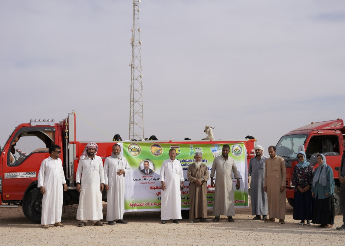 وزارة الزراعةِ بالتعاونِ معَ إيفادٍ تدعمُ المرأةُ المعيلةُ بمطروح بعدد 2730 رأسِ ماعزٍ كمشروعاتٍ صغيرة مدرةٍ للدخلِ 19 - جريدة المساء