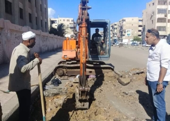 استكمال رفع كفاء وتطوير شارع عبد الحليم محمود بزهور بورسعيد 27 - جريدة المساء