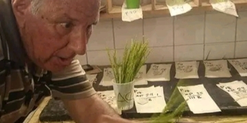 محطة البحوث الزراعية بسخا تنعي بحزن عميق العالم الدكتور عبدالسلام دراز 1 - جريدة المساء