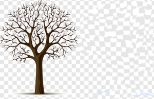 "أيكتي".. إطلالة بديعة للأديبة الروائية فاطمة مندي 21 - جريدة المساء