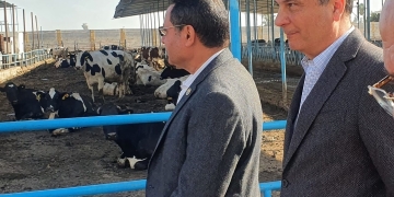 "احلم" مبادرة لتمويل وتوزيع رؤوس الأبقار الحلاب المحسنة وراثيا عالية الإنتاجية على صغار المربين والمزارعين بالشرقية 1 - جريدة المساء