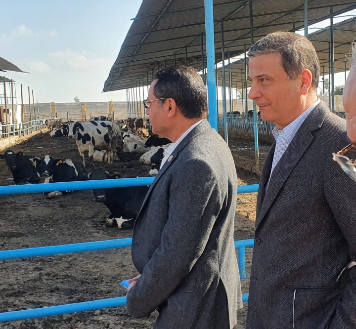 "احلم" مبادرة لتمويل وتوزيع رؤوس الأبقار الحلاب المحسنة وراثيا عالية الإنتاجية على صغار المربين والمزارعين بالشرقية 19 - جريدة المساء