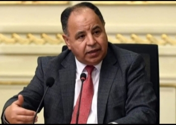 المالية: مستمرون فى تيسير وميكنة الإجراءات الجمركية.. لخفض تكلفة الاستيراد والتصدير 30 - جريدة المساء