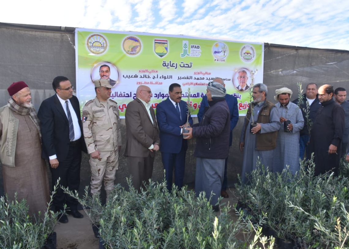 توزيع ٥٠ ألف شتلة زيتون و٢٠٠٠ شيكارة شعير على عدد من مزارعي مطروح 15 - جريدة المساء