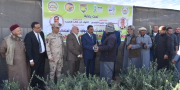 توزيع ٥٠ ألف شتلة زيتون و٢٠٠٠ شيكارة شعير على عدد من مزارعي مطروح 1 - جريدة المساء