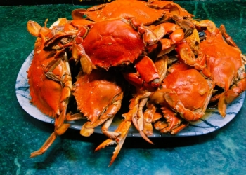 الشيف ولاء تقدم طريقة بسيطة لشوى الكابوريا علي الجريل 17 - جريدة المساء