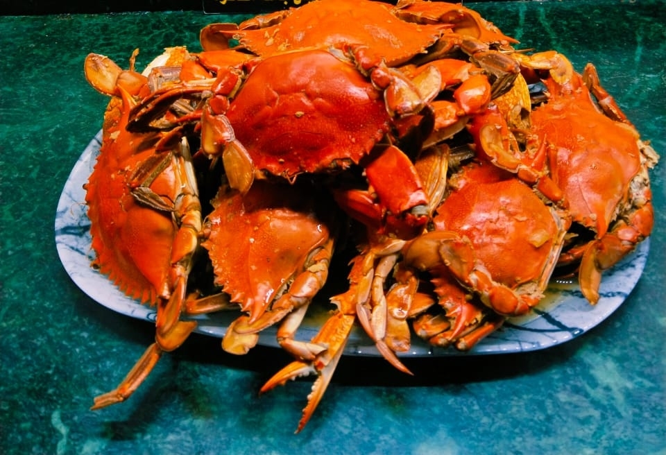 الشيف ولاء تقدم طريقة بسيطة لشوى الكابوريا علي الجريل 17 - جريدة المساء