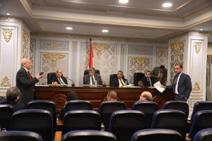 أورام الزقازيق.. الرمد .. الكبد أمام لجنة الشئون الصحية بالنواب 21 - جريدة المساء