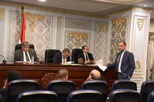 أورام الزقازيق.. الرمد .. الكبد أمام لجنة الشئون الصحية بالنواب 29 - جريدة المساء